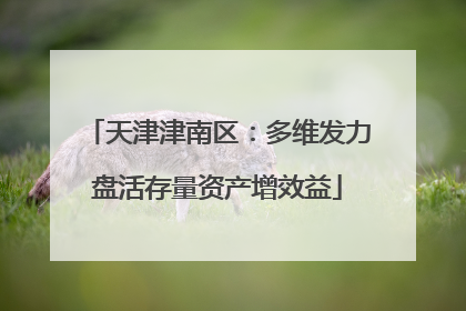 天津津南区：多维发力盘活存量资产增效益